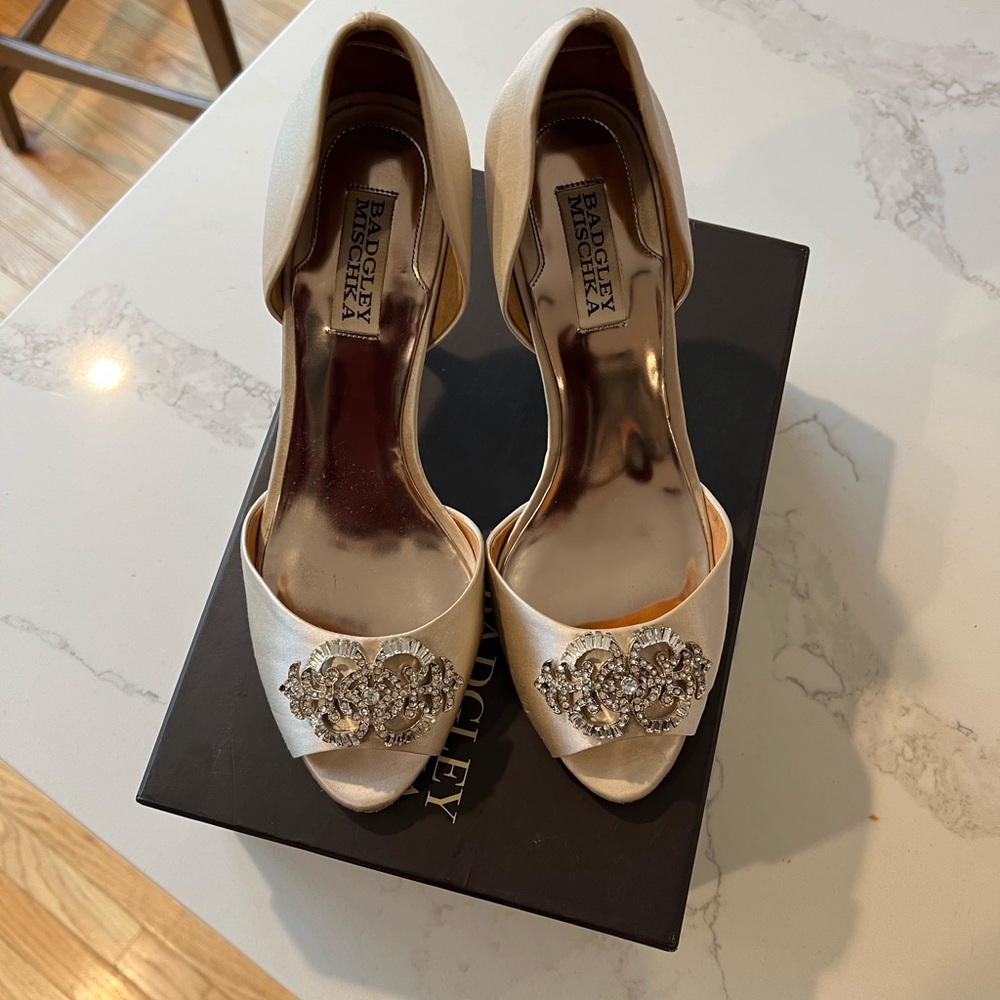 Badgley Mischka Salsa Pump size 9